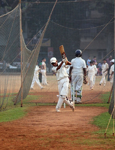 Celebrating Cricket Festivals and Traditions Around the World